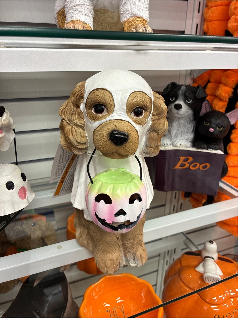 Dog Halloween Treat Bucket Costume Decor - White and Brown